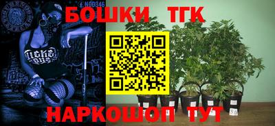 ГАЛЛЮЦИНОГЕННЫЕ ГРИБЫ Лесосибирск