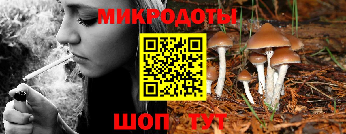 Губкинский  Галлюциногенные грибы ЛСД  Вход с VPN 